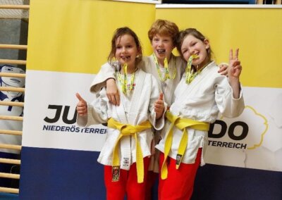 Judo-Nachwuchs des SHIAI-DO Judovereins beim Nachwuchscup in Baden – Turnier und Teamabend in Niederösterreich